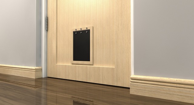 Cat Flap Installation Barnehurst, DA7