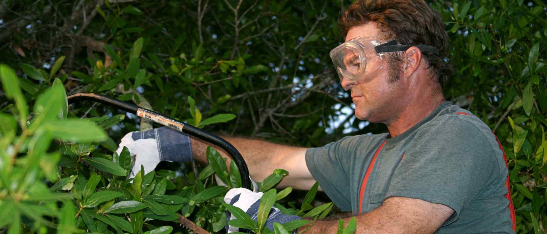 garden clearance DA7
