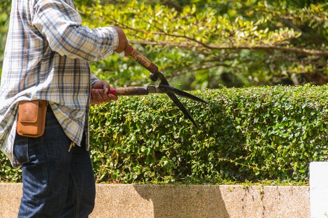 Garden Maintenance Barnehurst, DA7